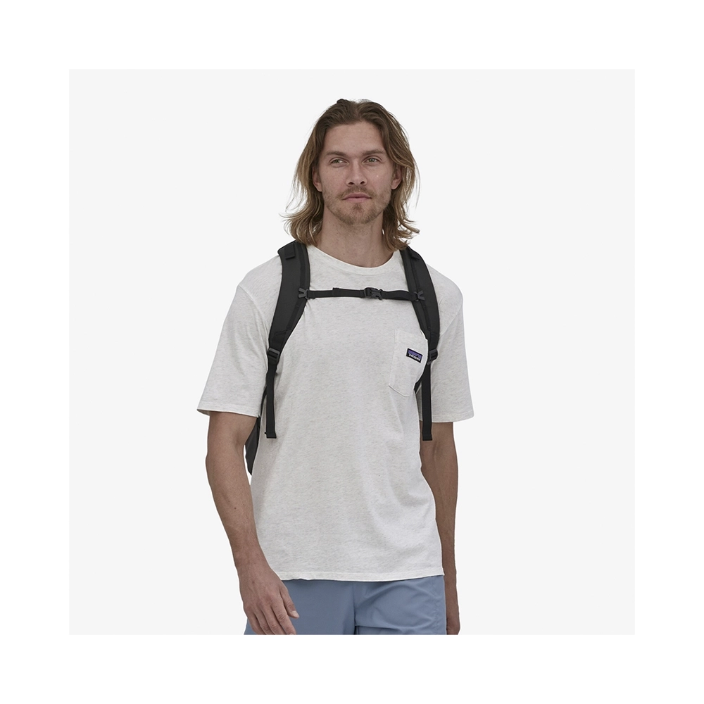 Patagonia Refugio Day Pack Rucksack