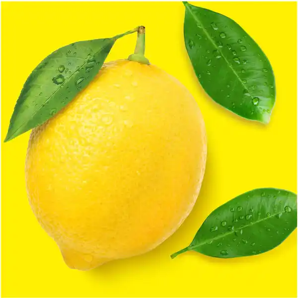 Allzweckreiniger Citrusfrische