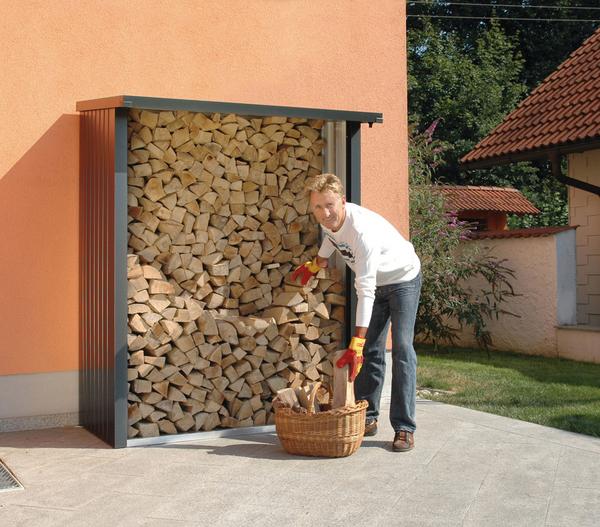Biohort WoodStock® 150 für Kaminholz