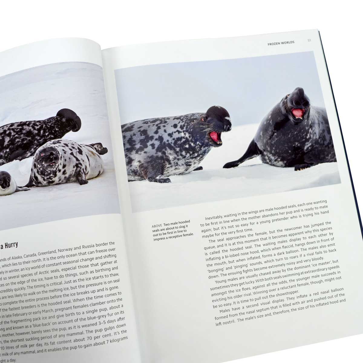 Frozen Planet II (Hardback)