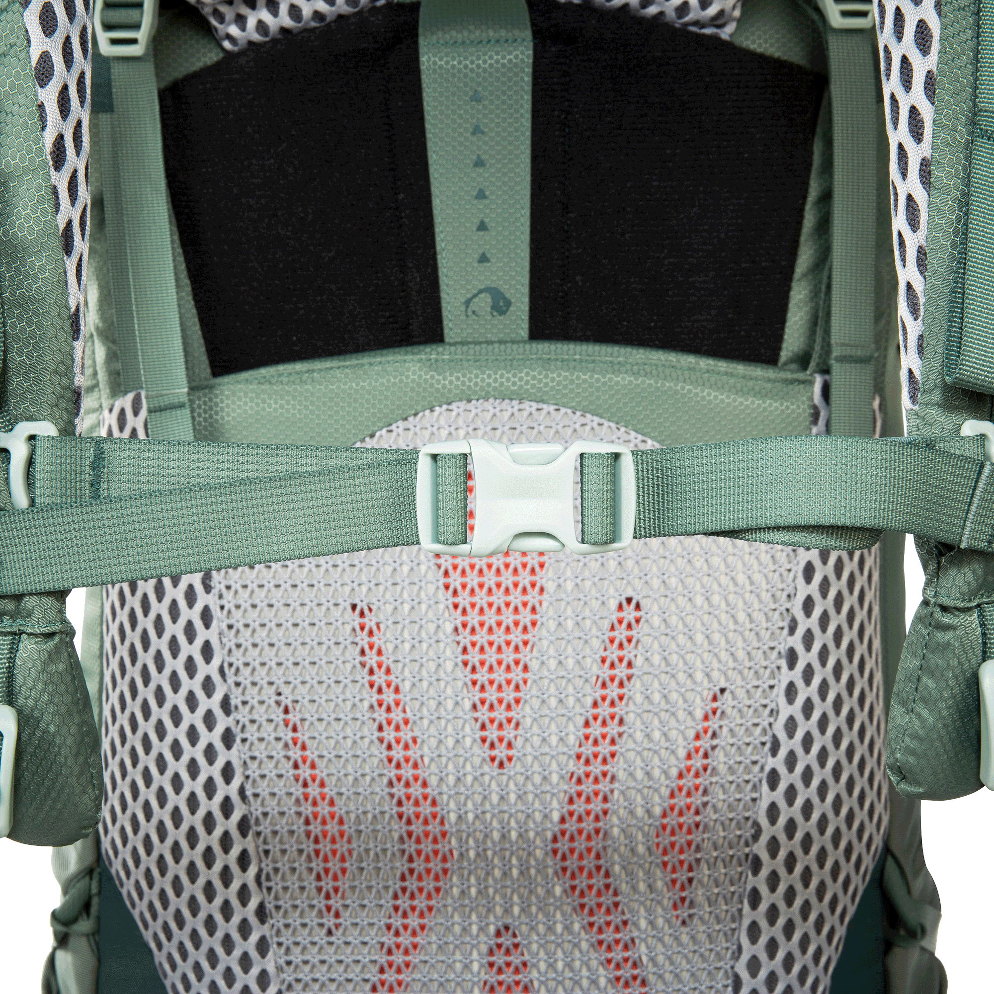 Tatonka Pyrox 45+10l Trekkingrucksack sage green