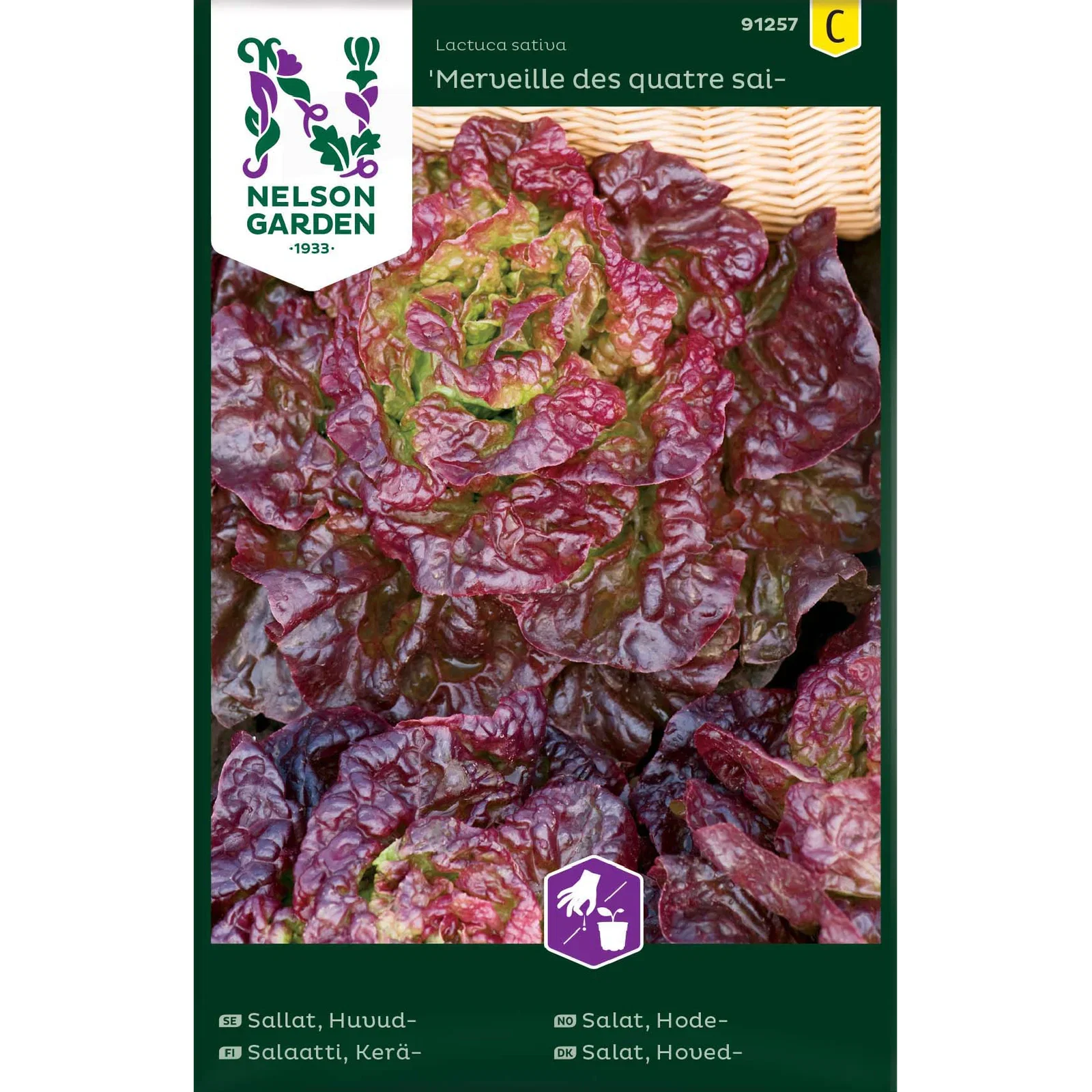 Lactuca sativa 'Merveille des quatre saisons' Hodesalat 'Merveille des quatre saisons'