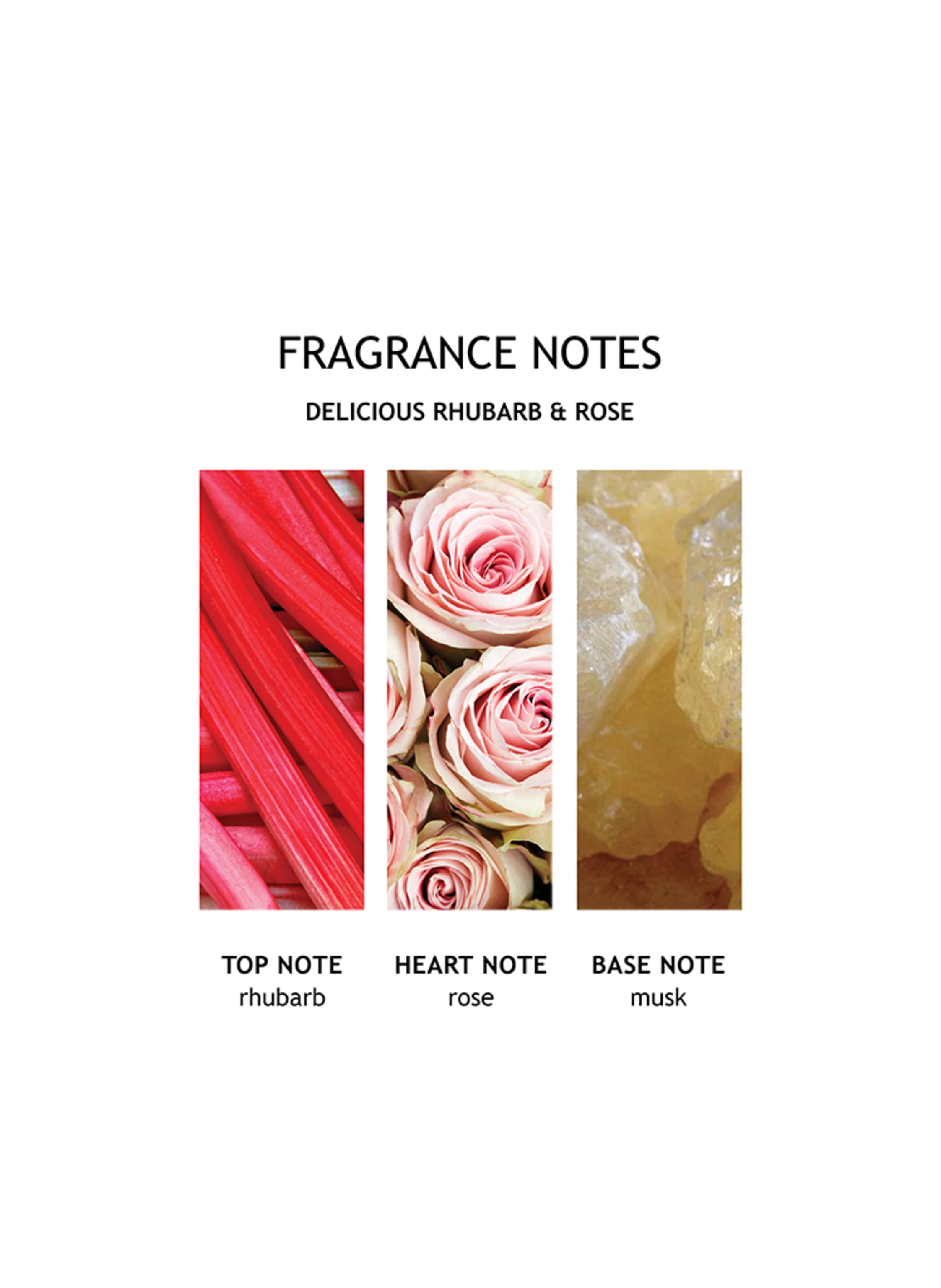 MOLTON BROWN RHUBARB & ROSE