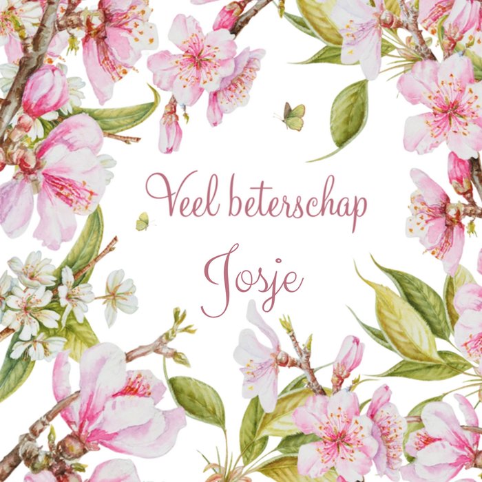 Janneke Brinkman | Beterschapskaart | Veel beterschap   naam