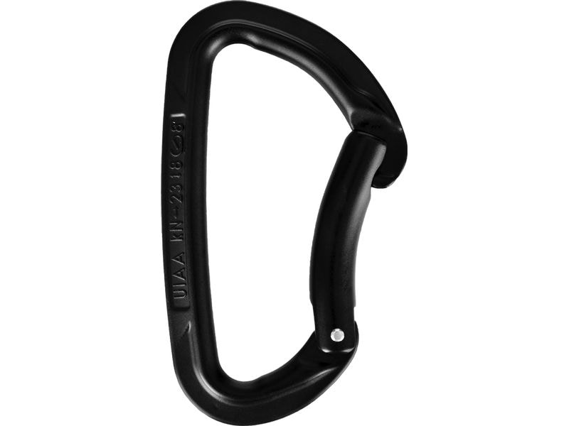 Wild Country Carabiner Session Bent Gate Schwarz Karabiner mit gebogenem Schnapper