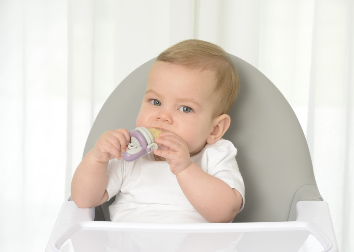 Kidsme - Food Feeder Starter Pack - Blomme