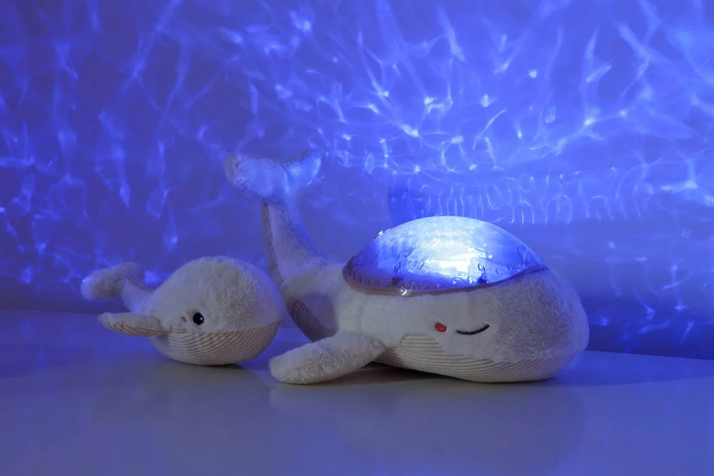 TRANQUIL WHALE™ - WHITE FAMILY
