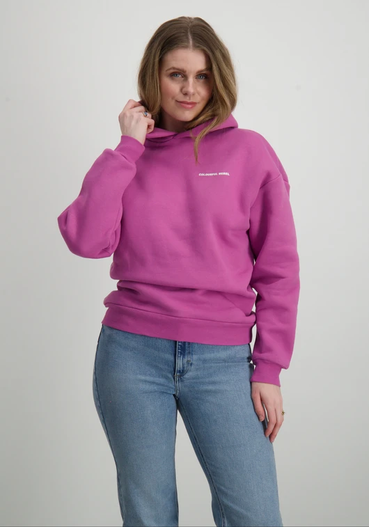 Colourful Rebel Hoodie Rugby WH116851