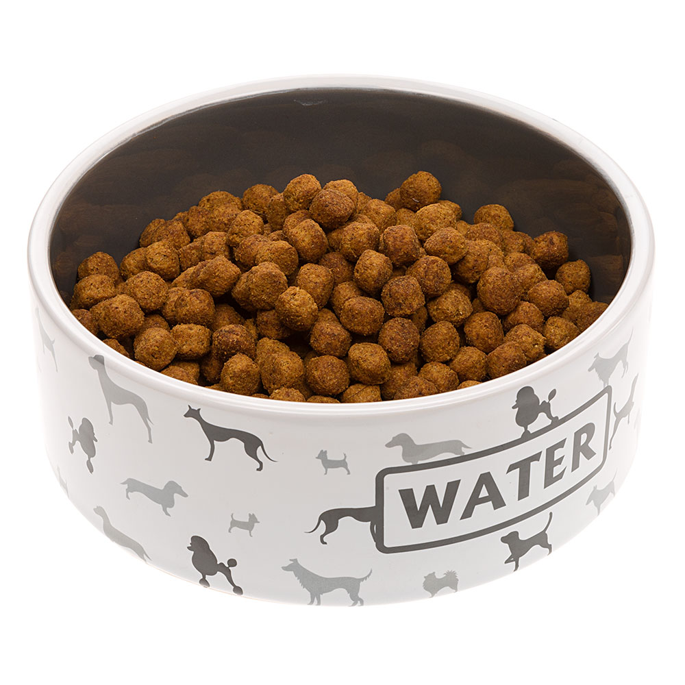 Ecuelle en céramique pour petits chiens et chats, juno medium, fantaisie originale
