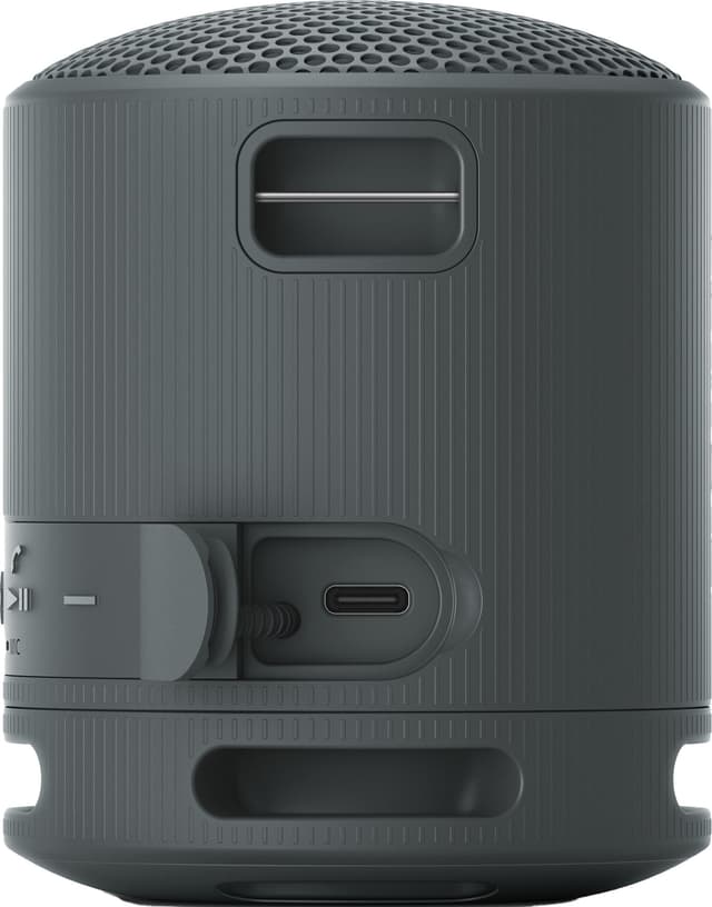 Sony SRS-XB100 trådløs bærbar højttaler (sort)