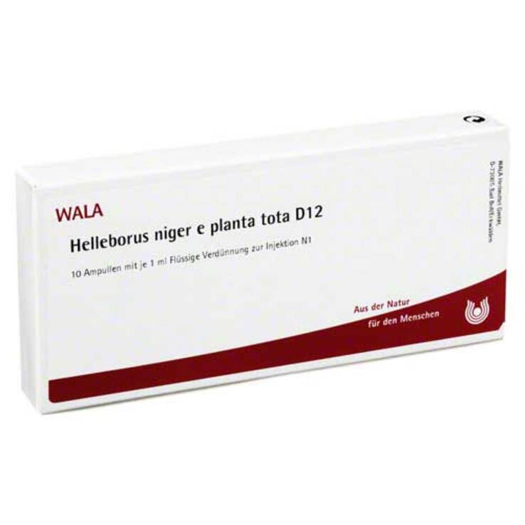 Helleborus Niger E Planta Tota D 12 Ampullen, 10X1 ml