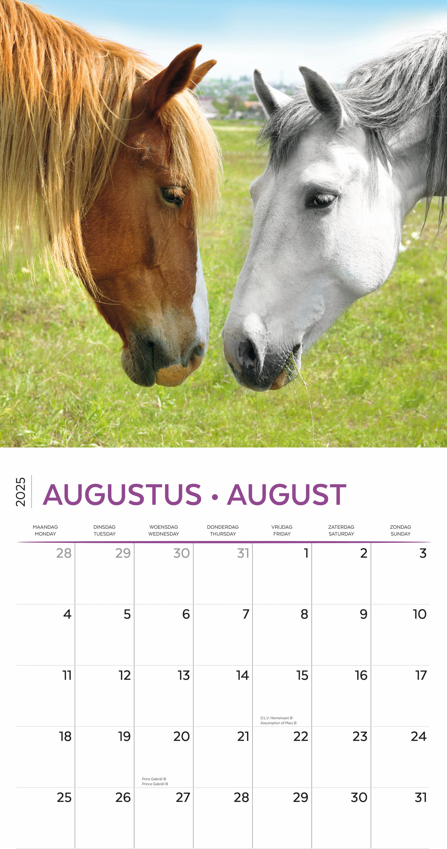 Plenty Gifts kalender horse lover 30 x 30 x 0,5 cm