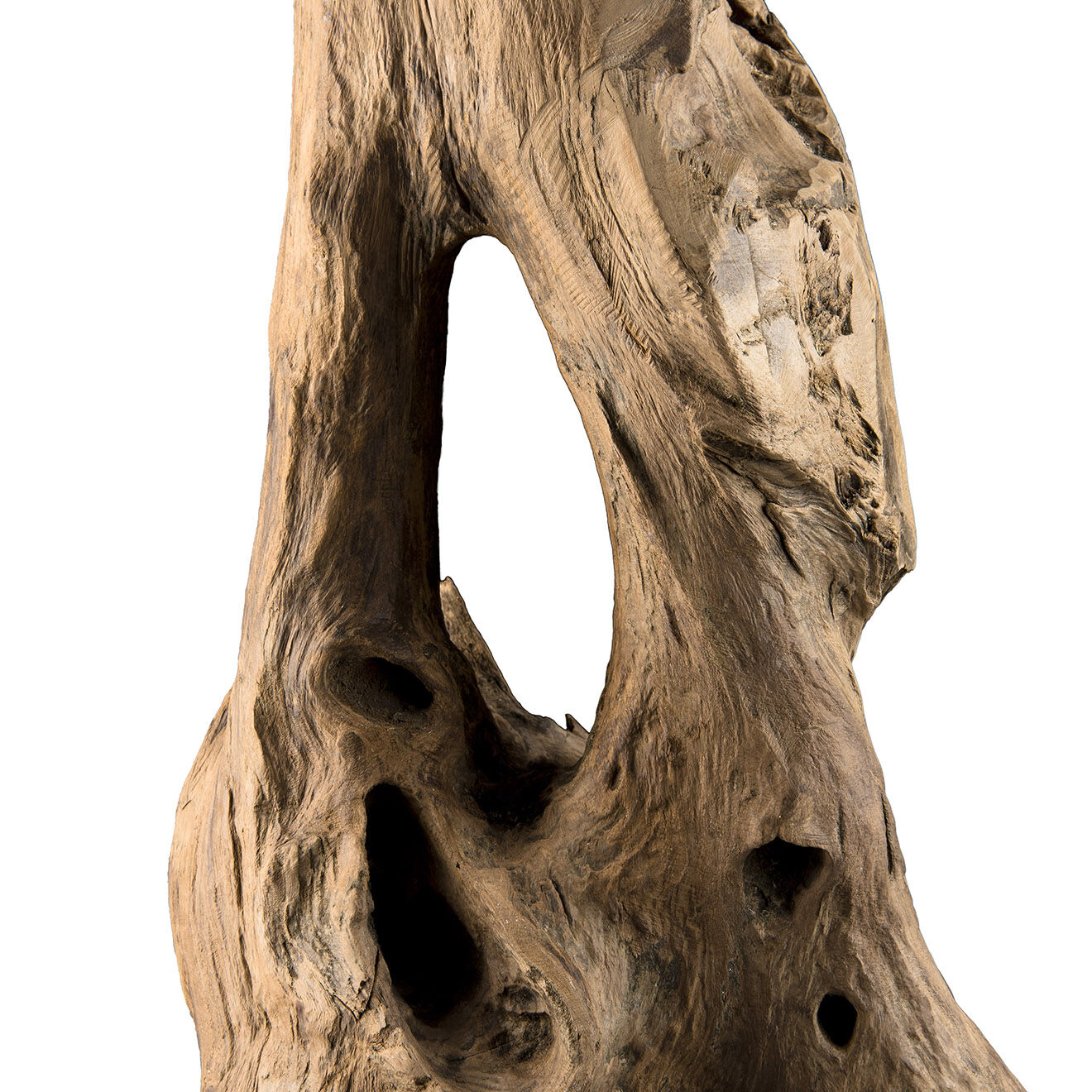 Macabane Sculpture branche M Clara teck - 26x22x106 cm