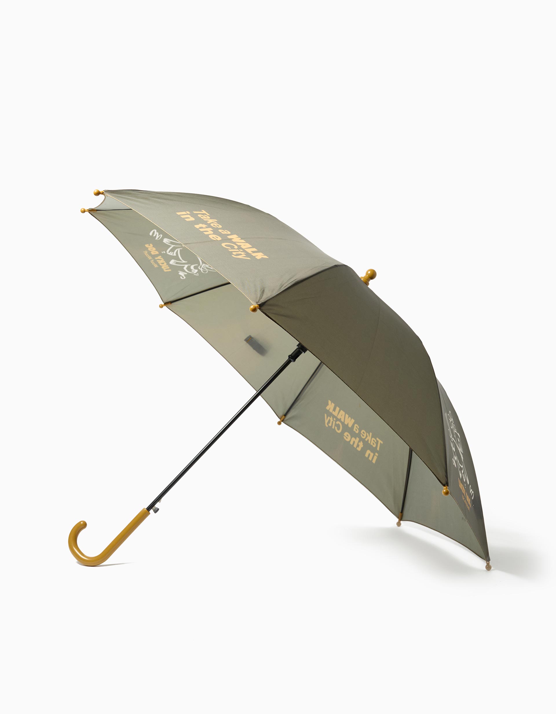Guarda-chuva, Menino, Verde Escuro