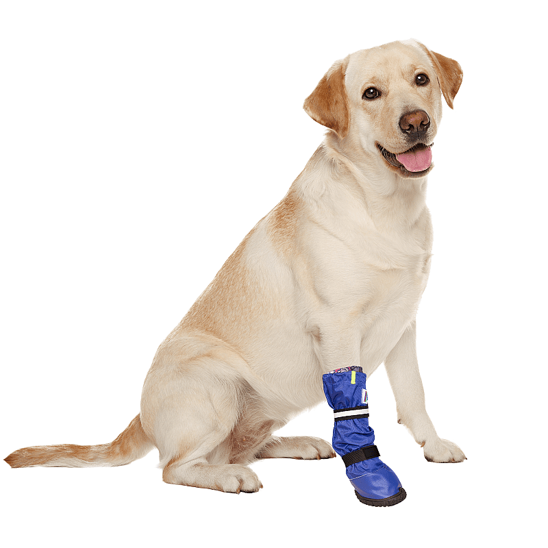 Medical PetS Boot XS