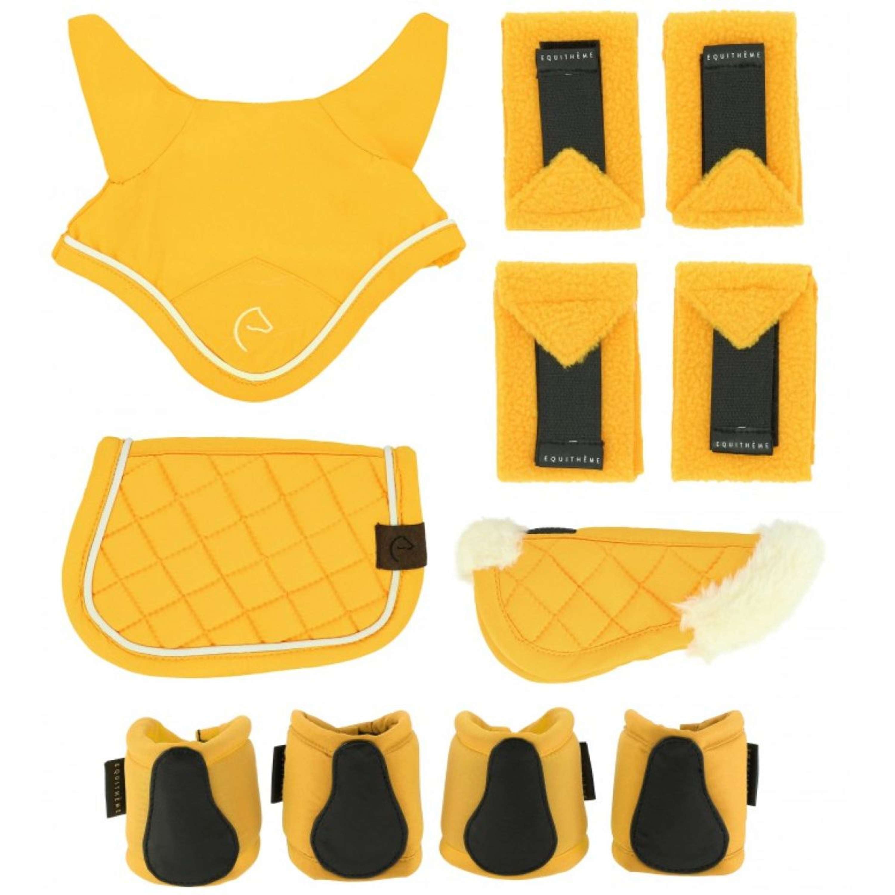 EQUITHÈME Accesoire Set Mini Pony Academy Geel