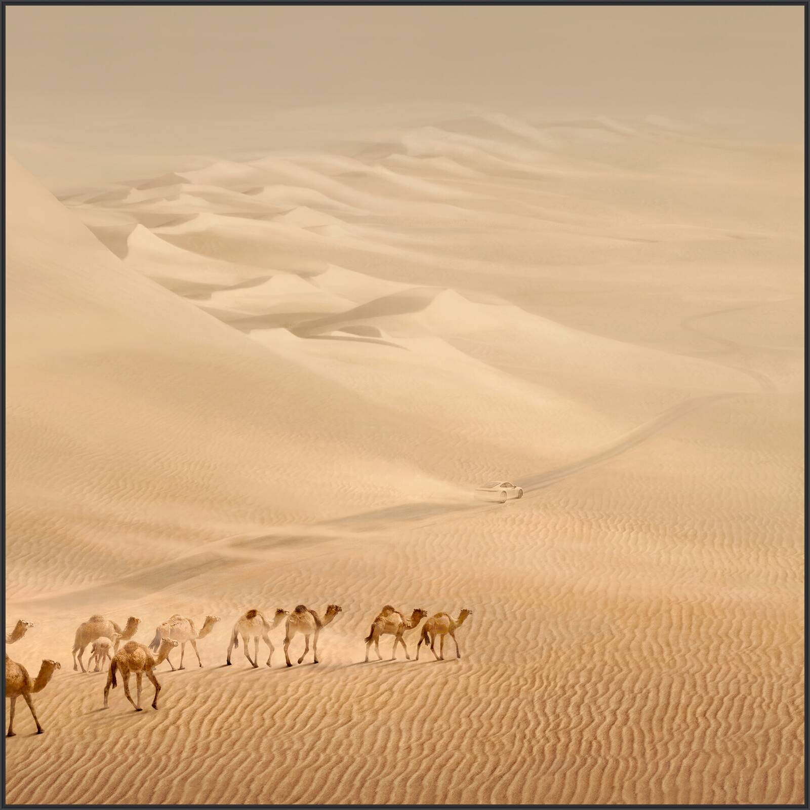 The Explorer, Timeless Machine by Irene Kung - Limited Edition. Edition of: 250. Signed.