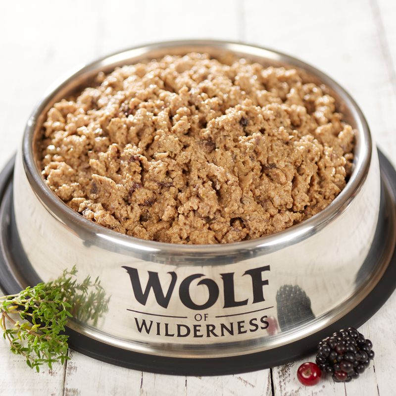 Wolf of Wilderness Junior Free range 6 x 800 g