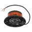Varsellys med skrufeste LED 12/24 V IP65
