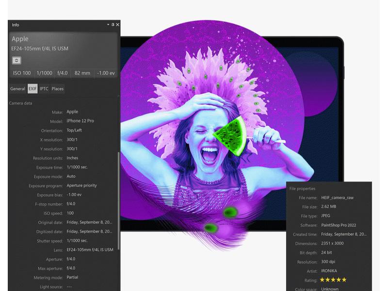 Corel PaintShop Pro 2023 Ultimate Box, Vollversion Bildbearbeitungsprogramm für Windows