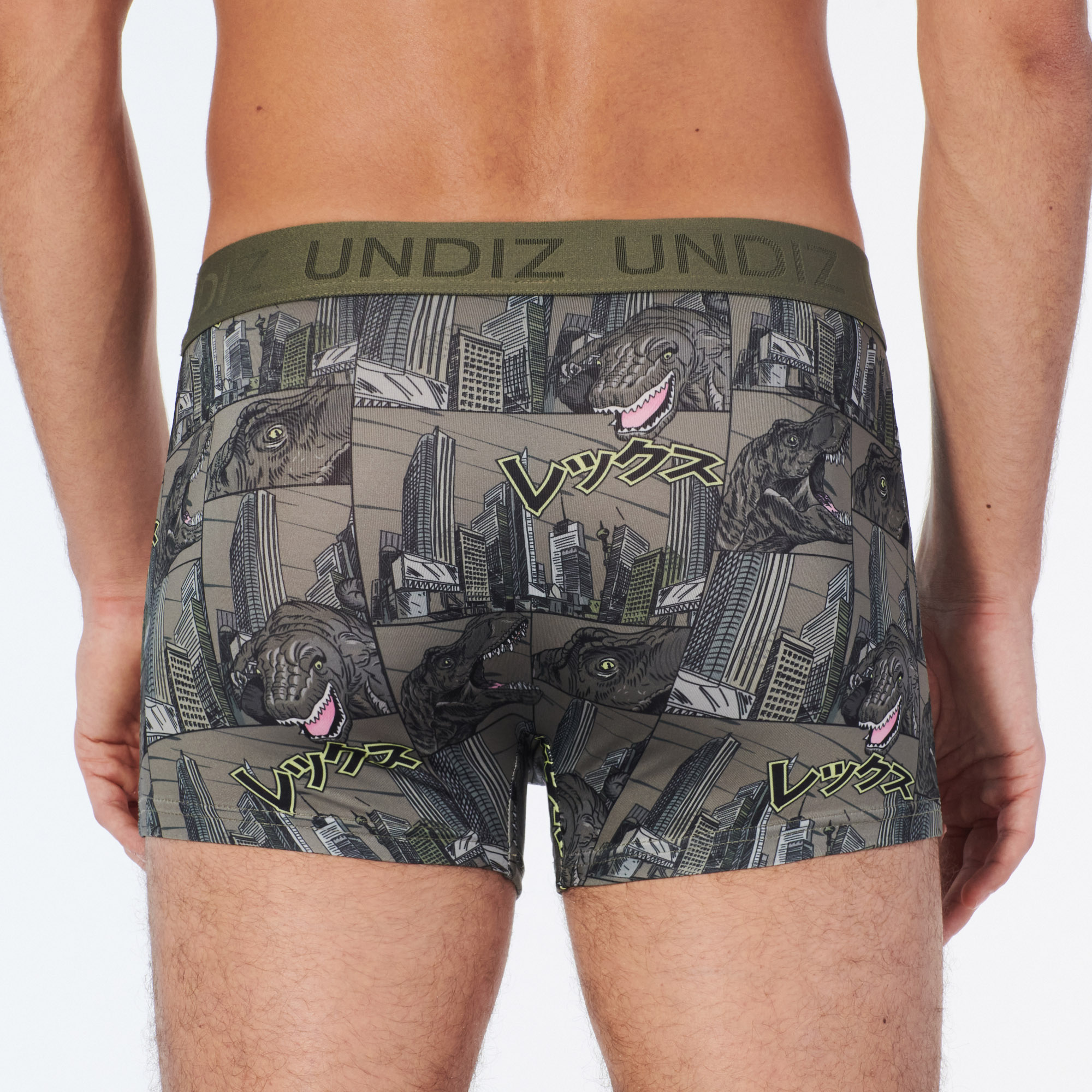 Boxer à motifs dinosaures en microfibre