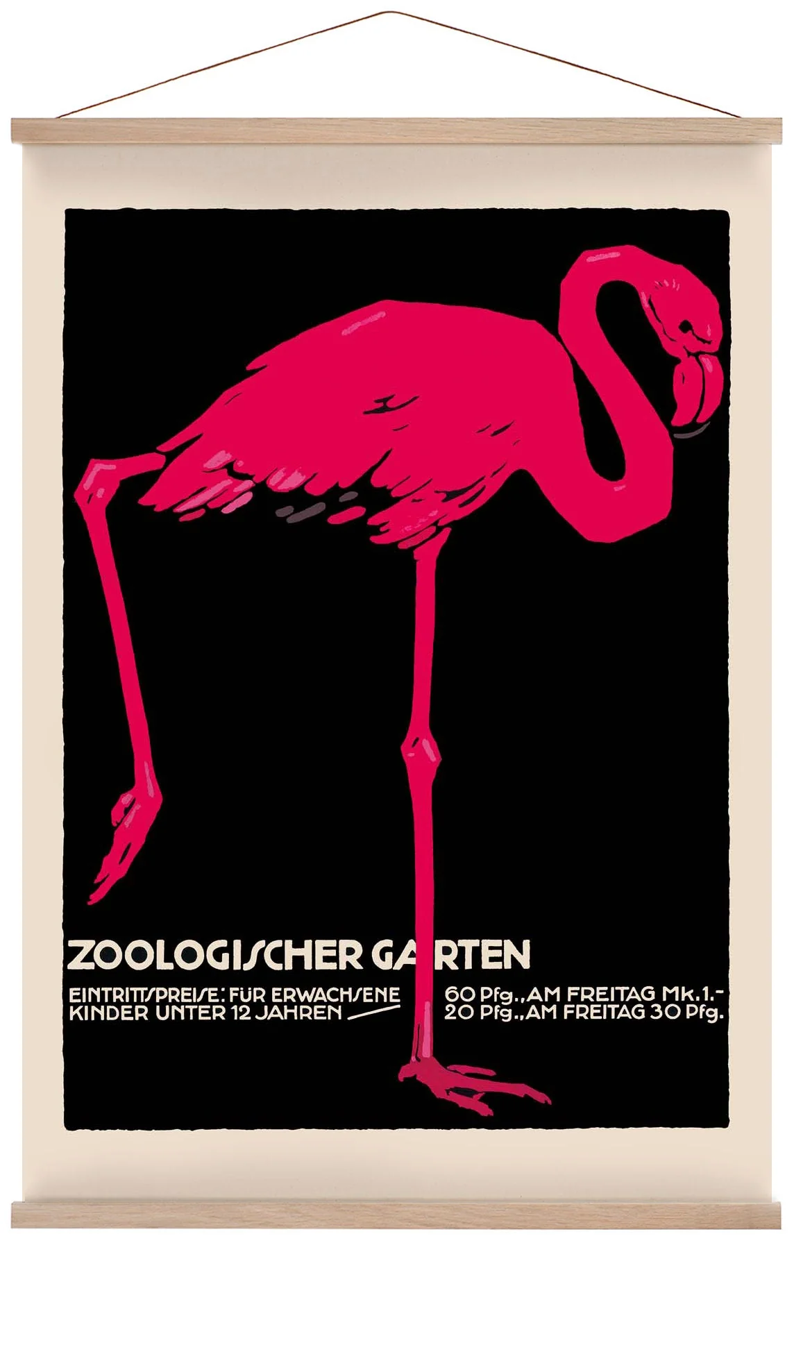 Zoologischer Garten Flamingo