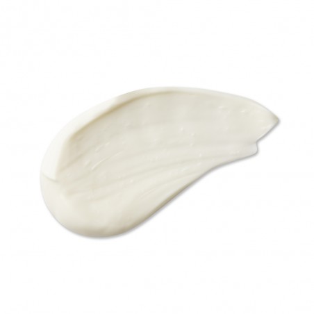 Evolve Crème visage daily renew
