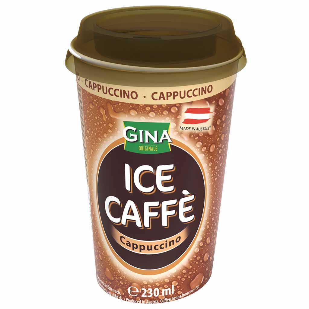 10x Gina Eiskaffee - Cappuccino 230ml = 2,3 Liter MHD:3.5.25