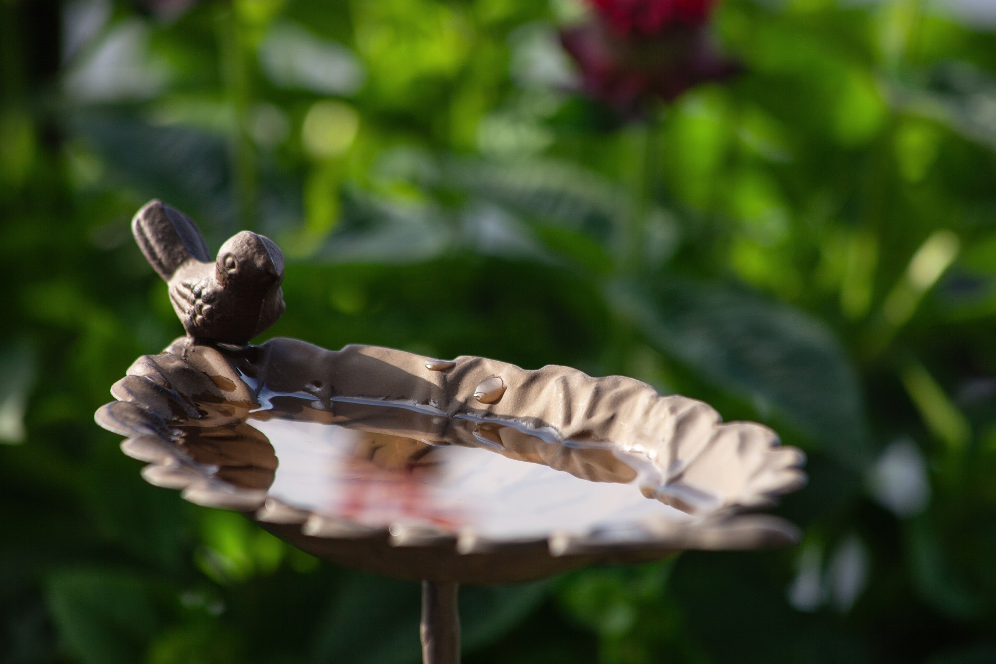 Vogeltränke 'Leaf', Eisen, H 86 cm, B 25 cm, L 13,5 cm günstig bestellen