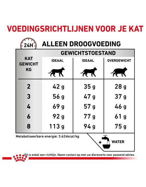 Royal Canin Veterinary Diet Gastrointestinal Hairball - Kattenvoer