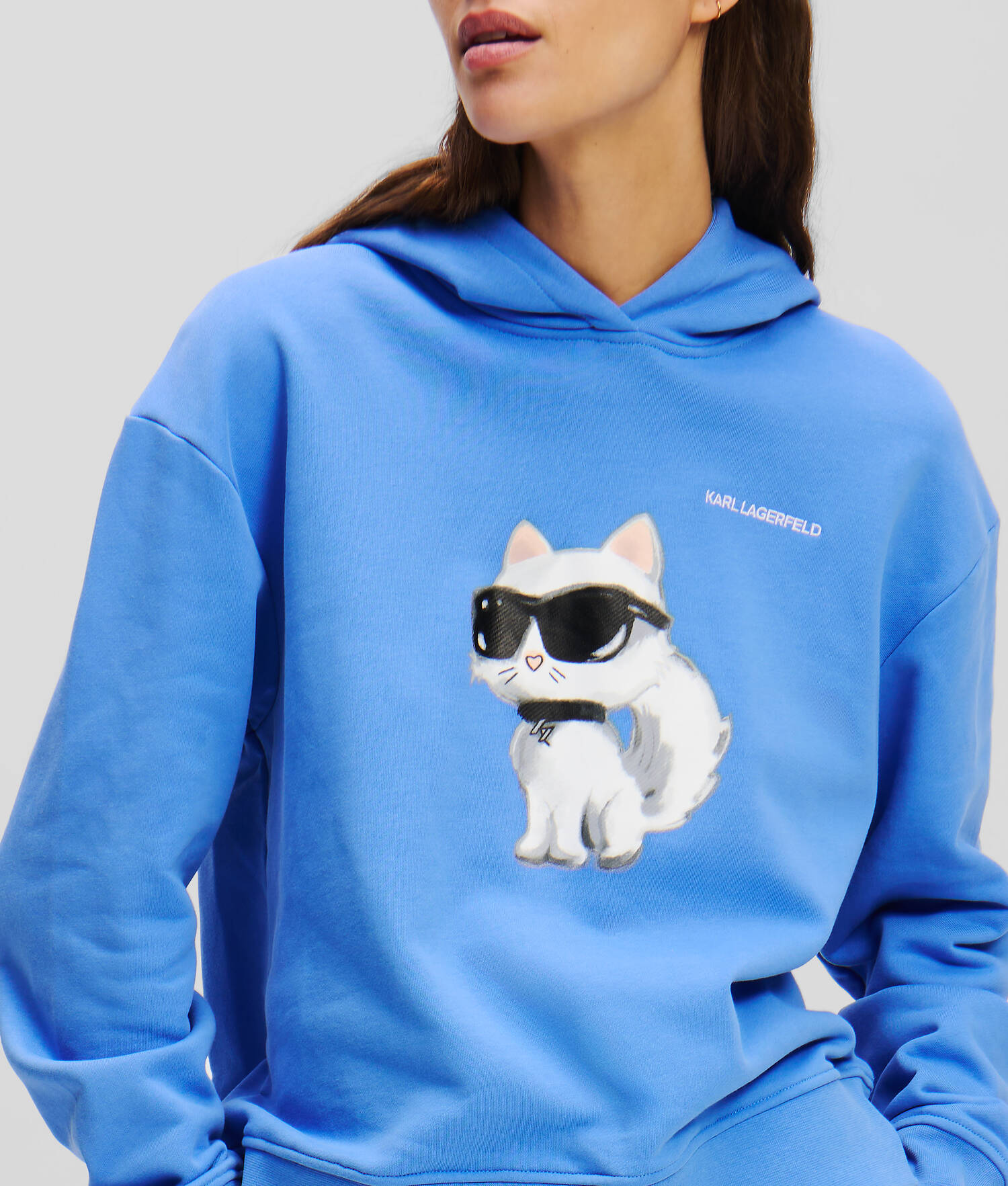 SWEATSHIRT À CAPUCHE AVEC IKON CHOUPETTE STYLE AQUARELLE - Ultramarine