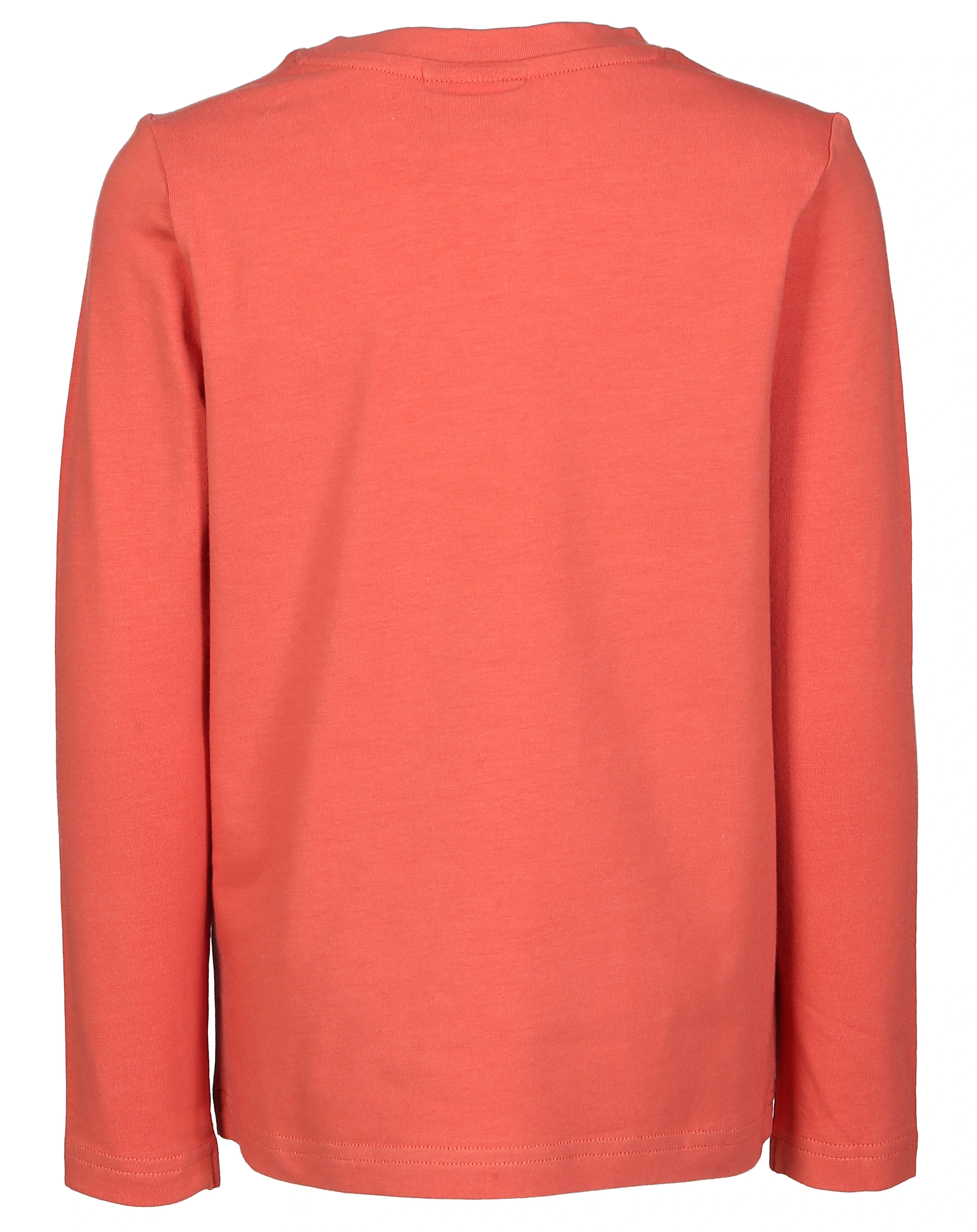 Jersey-Langarmshirt ILO in brown/red