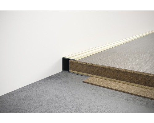 SKANDOR randprofiel, champagne geanodiseerd, voor 10-11 mm planken, 13x29x900 mm