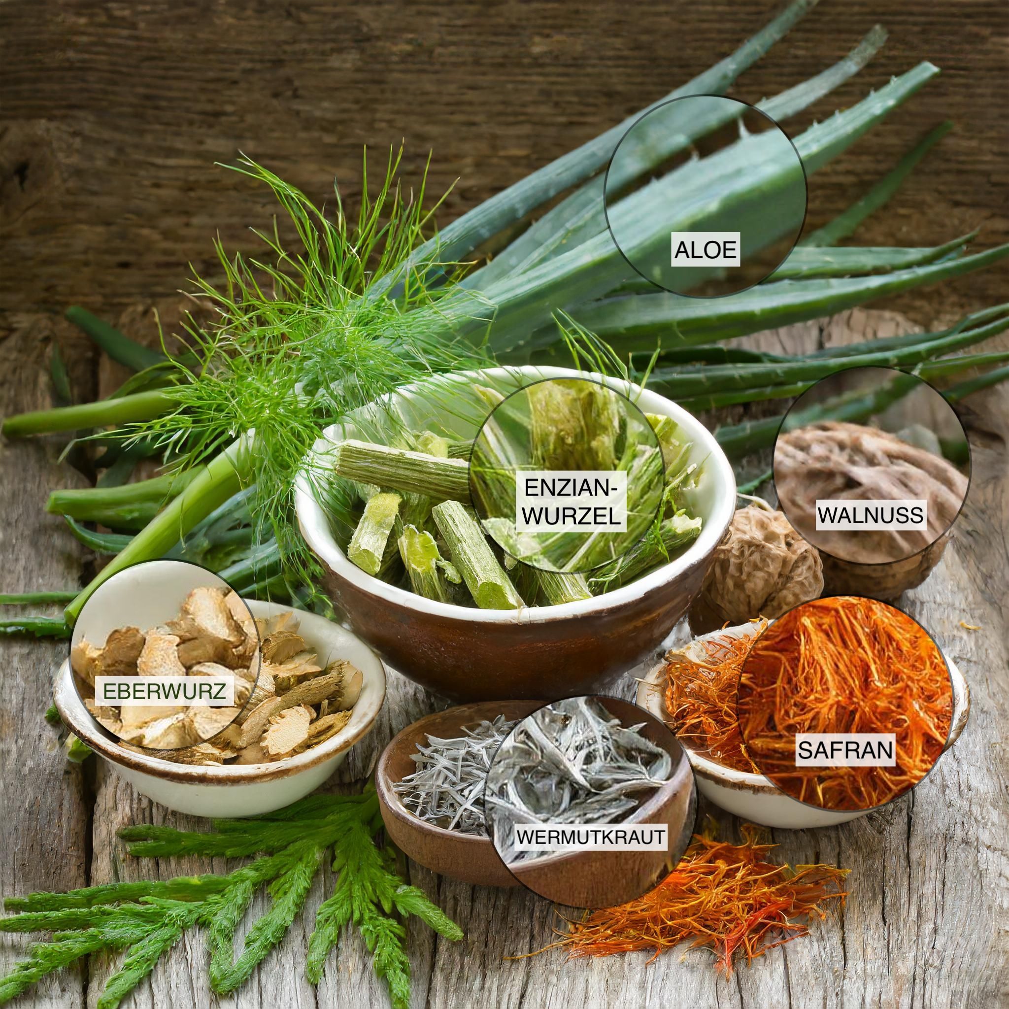 TierGlück Wurmerli® Drops mit Walnuss & Angelikawurzel für Hunde