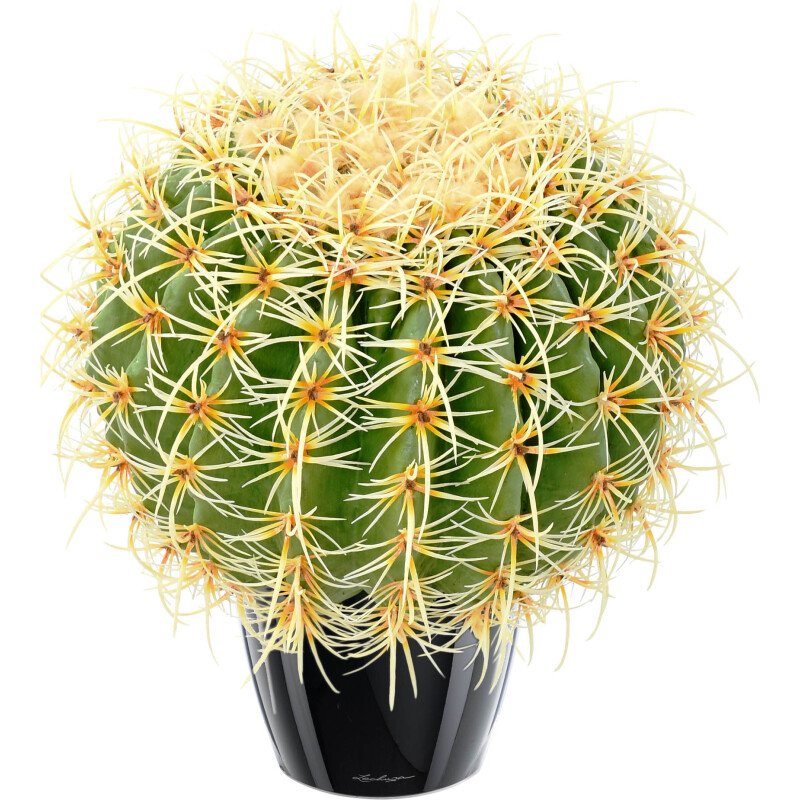 Cactus boule diamètre 30 cm artificiel d'intérieur