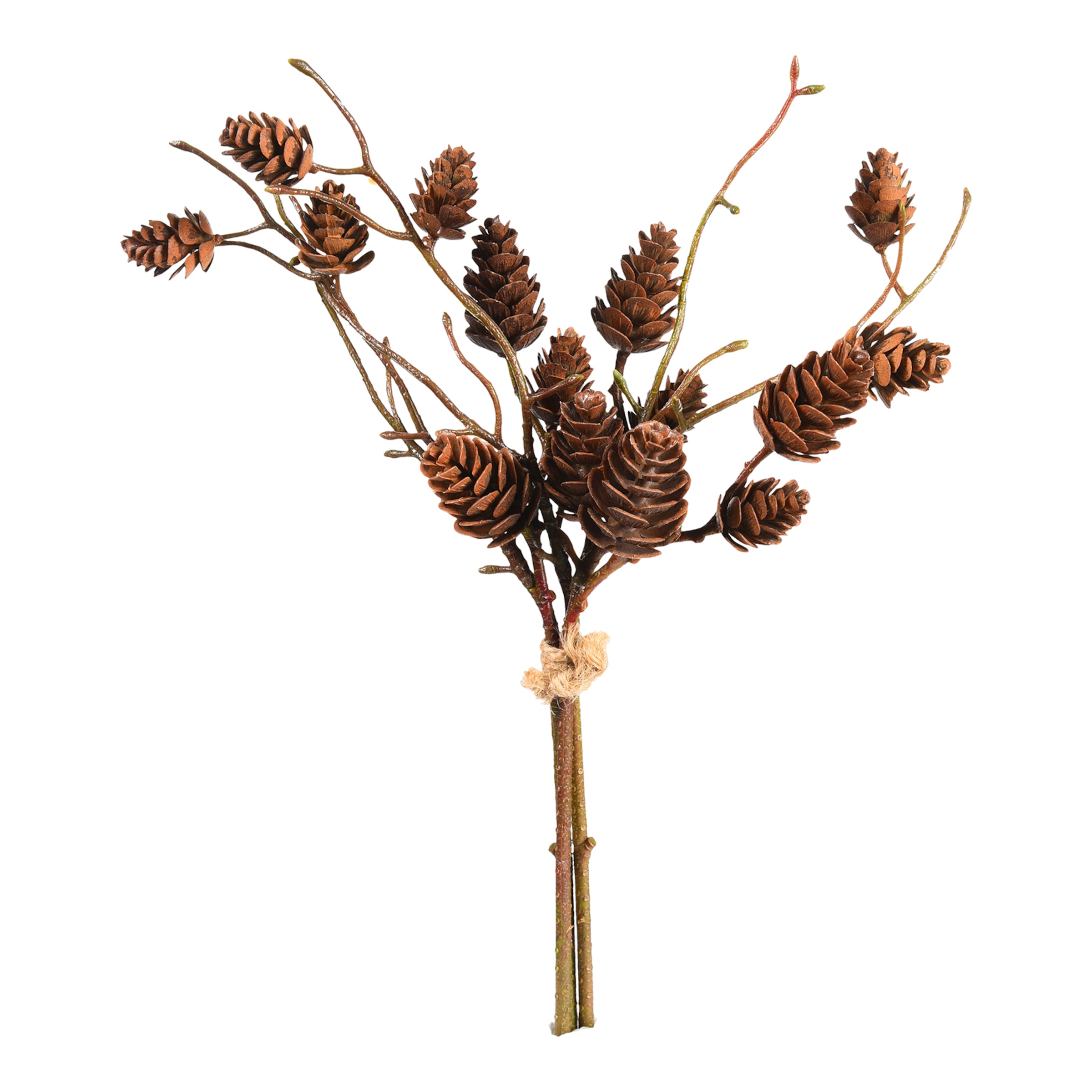 braun, L 27 cm