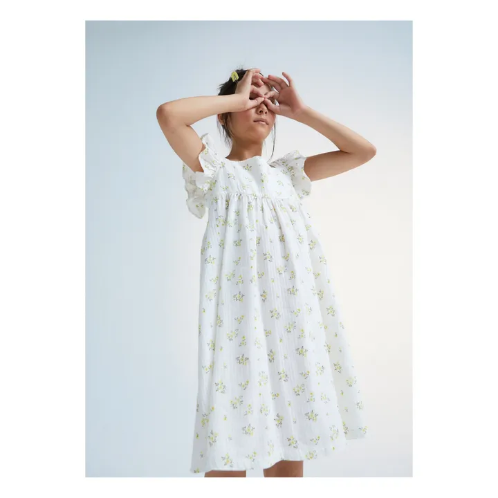 the new society Robe Valley | Blanc