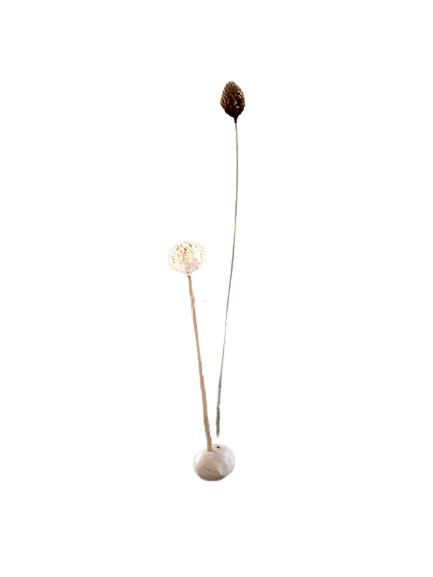 Droogbloem in klei XS natural brown rond