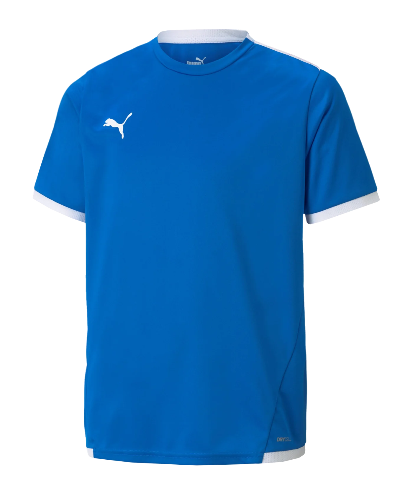 PUMA teamLIGA Trikot Kids Blau F02