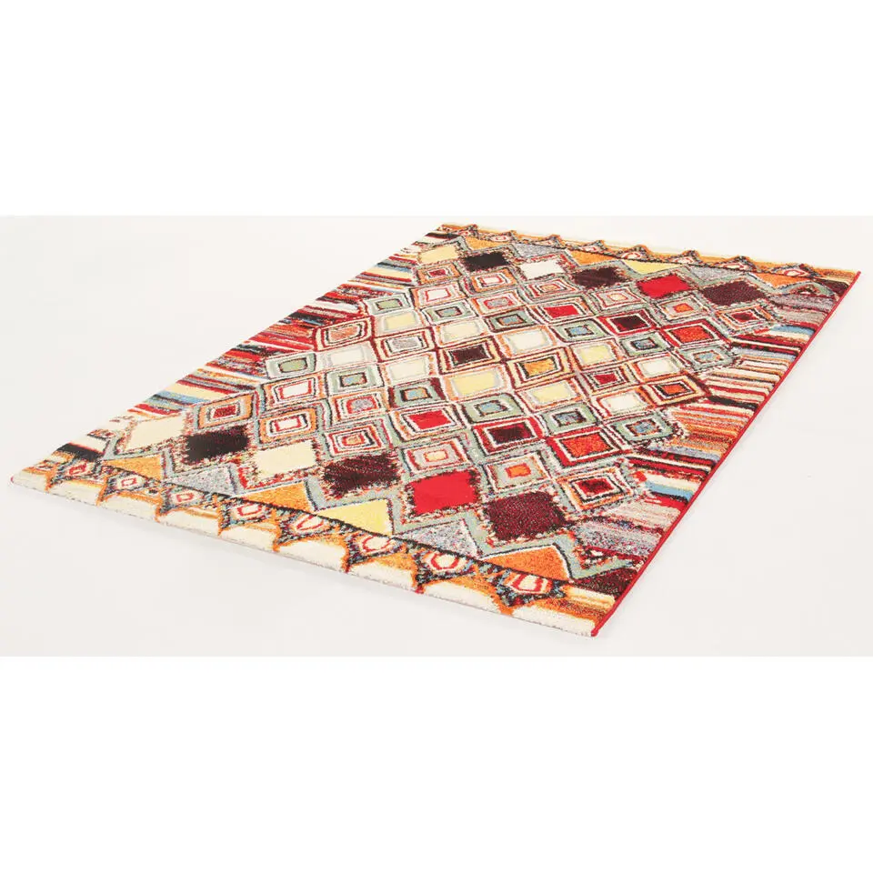 Dutch Lifestyle - Polypropyleen - Vloerkleed - 160x230 cm - Multikleur