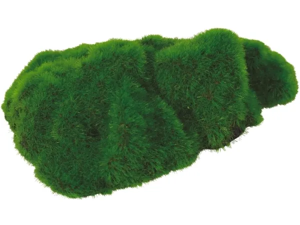 Zolux ZOLUX KIPOUSS rock aquarium decoration with seeds of live plants, 1 pcs (assorted)