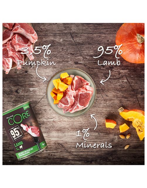 Wellness Core Grain Free 95 400 g - Hondenvoer