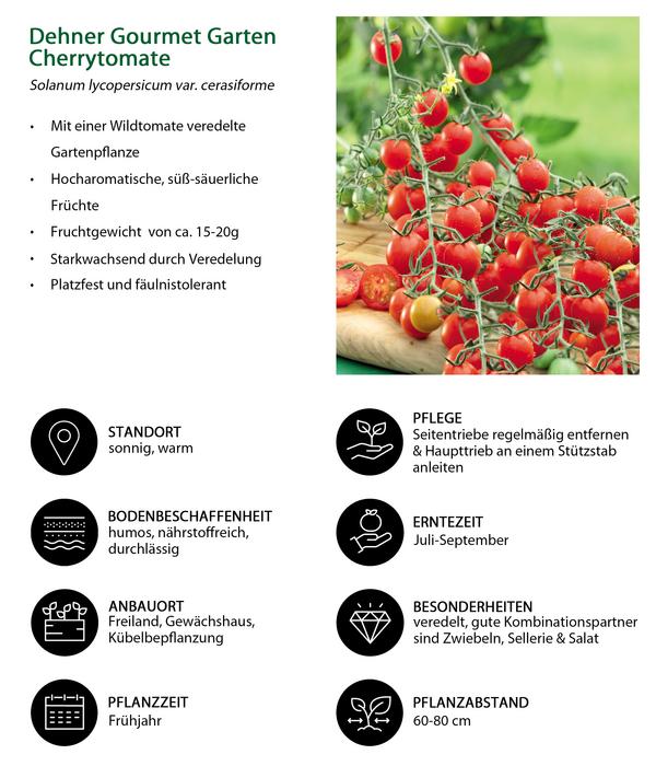 Gemüse-Set Tomatengenuss, 6-teilig
