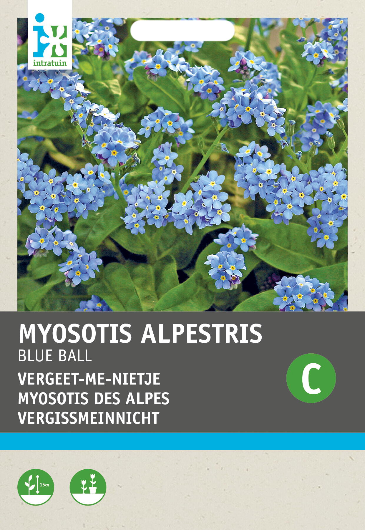 Intratuin bloemenzaad Vergeet-mij-nietje (Myosotis alpestris 'Blue ball')