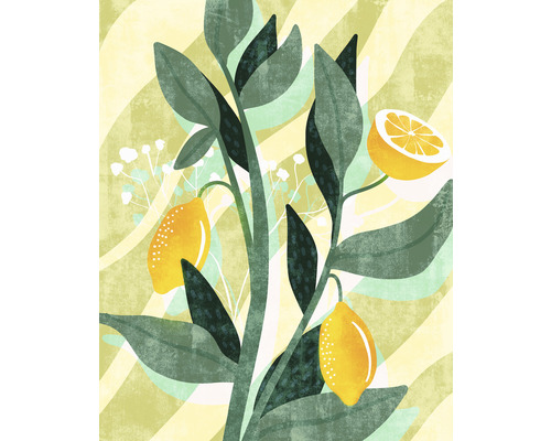 Fotobehang vliesbehang LJX4-015 Le Jardin Lemon Fresh 4-delig 200x250cm