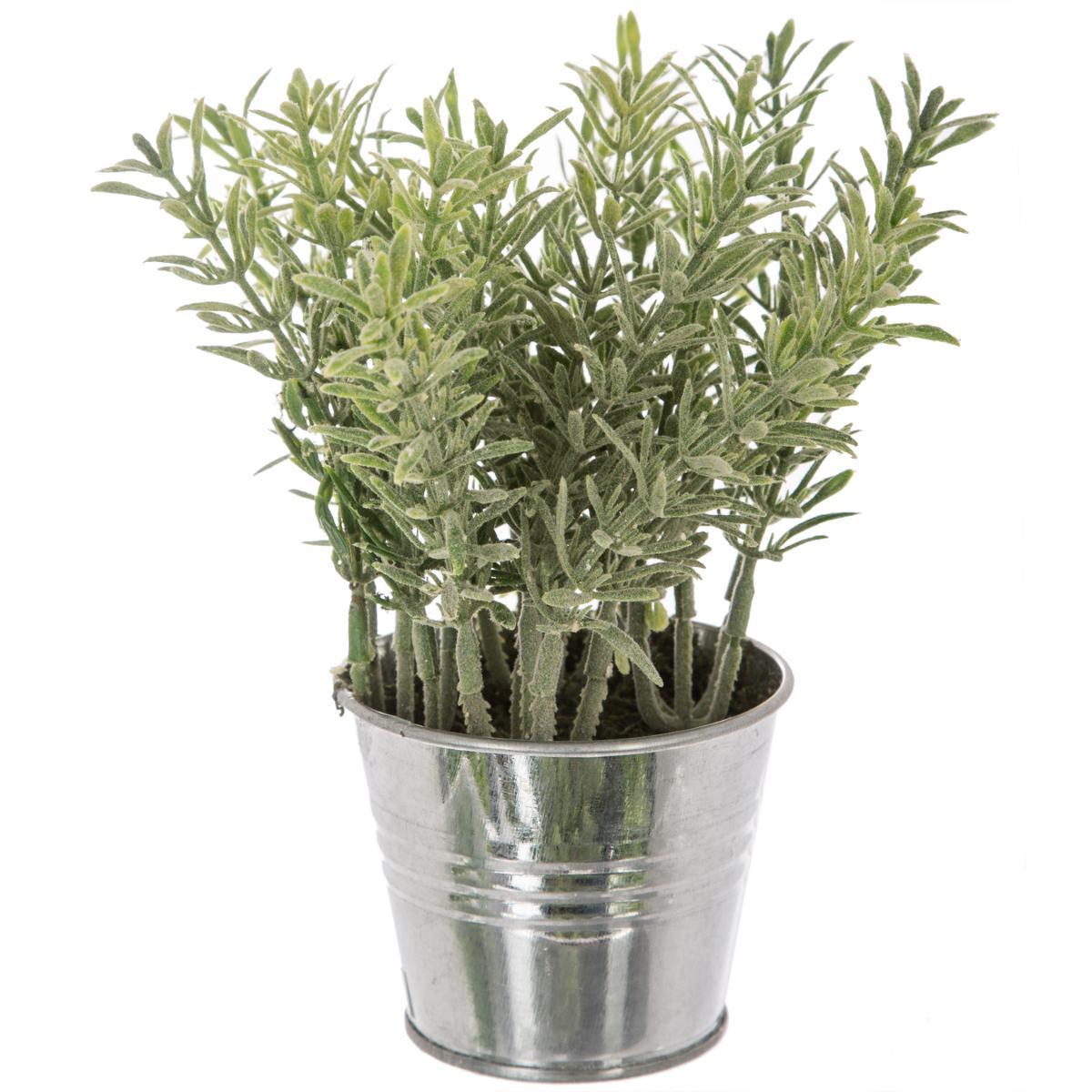 PLANTE POT ZINC D.8X17CM