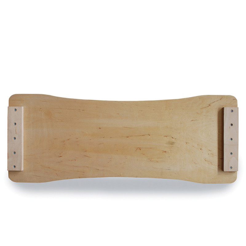 Rollerbone Board Fitbone