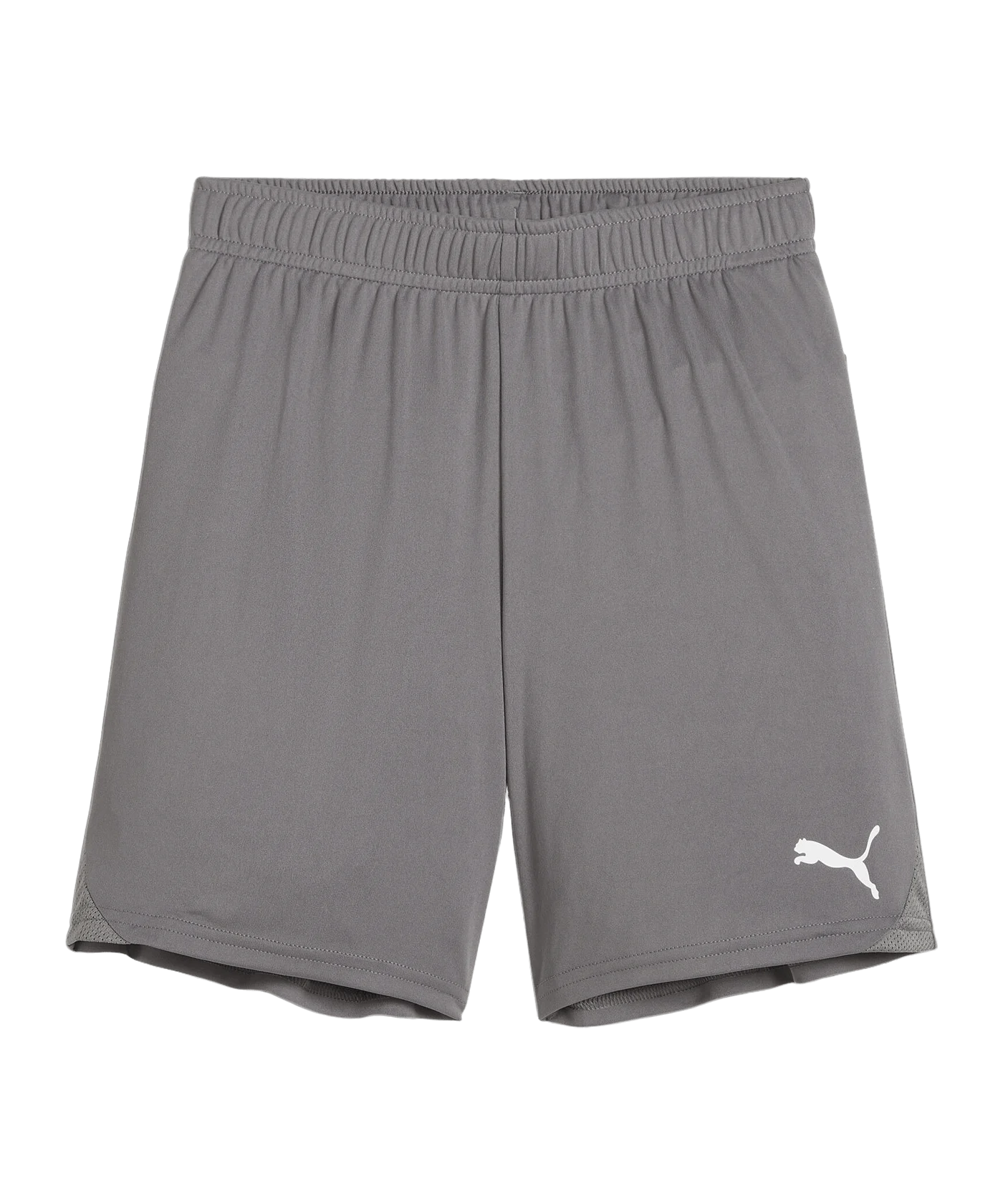 PUMA teamGOAL Short Kids Grau Weiss F13