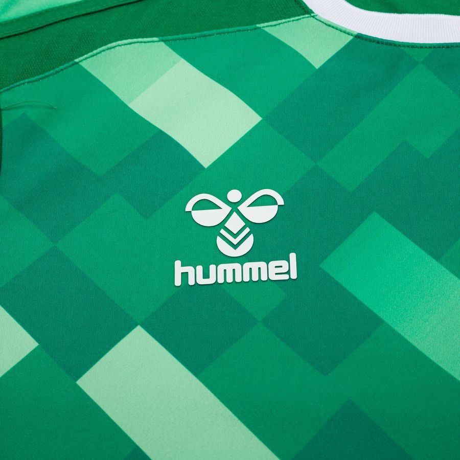 Danemark Maillot de Gardien 2024/25