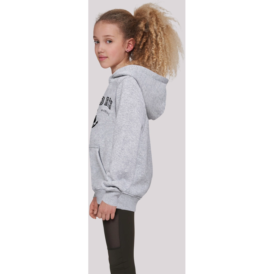 F4NT4STIC Hoodie Go North Knut & Jan Hamburg heather grey